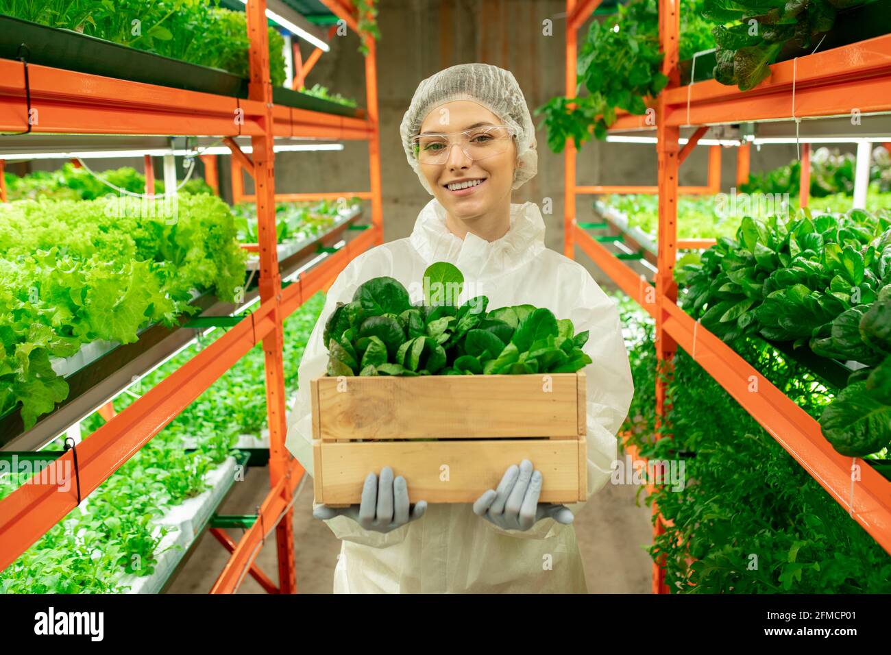 Porträt von fröhlichen jungen Greenhouse-Mitarbeiter in schützende Arbeitskleidung und Brillen, die Keimlinge im Gang der vertikalen Farm halten Stockfoto