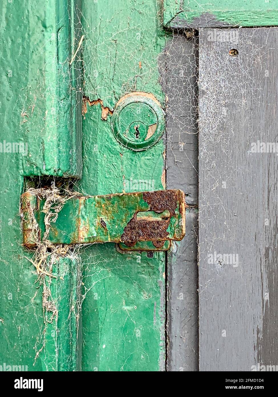 Grün lackierte Holztür mit Sicherheitsverschluss, Klammer und Schlüsselschloss Felgenzylinder Stockfoto