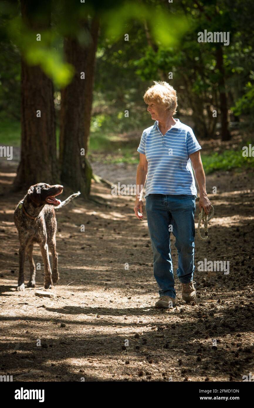 Blackheath Common, Surrey, England Stockfoto