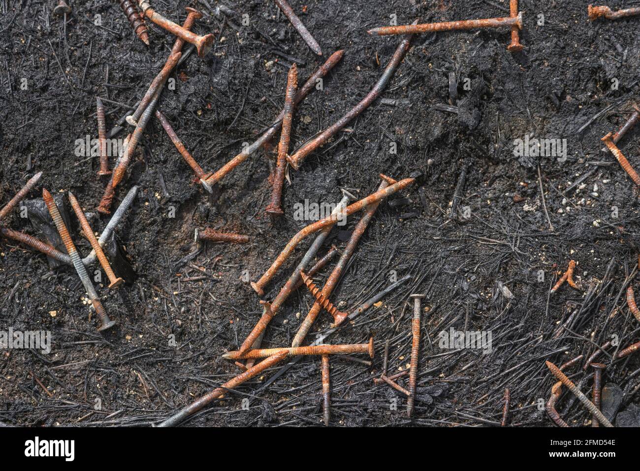 Rostende Nägel und Schrauben, die nach dem Lagerfeuer zurückgelassen wurden, um alte Holzbretter, Paletten, Schachteln usw. für etwas Gone, Past Industry, Metal Abstract zu verbrennen. Stockfoto