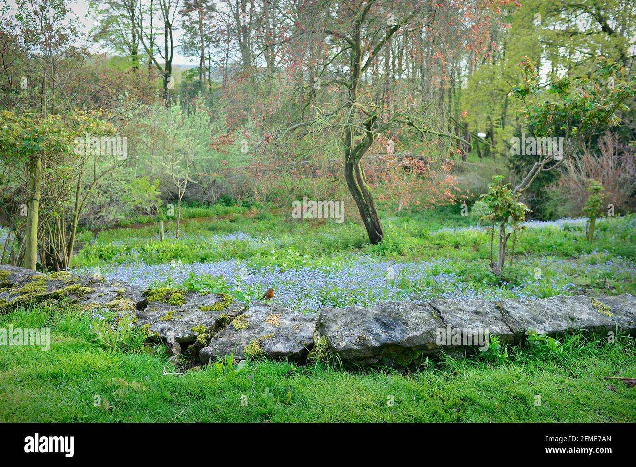 Englisch Country Garden North Yorkshire England Stockfoto