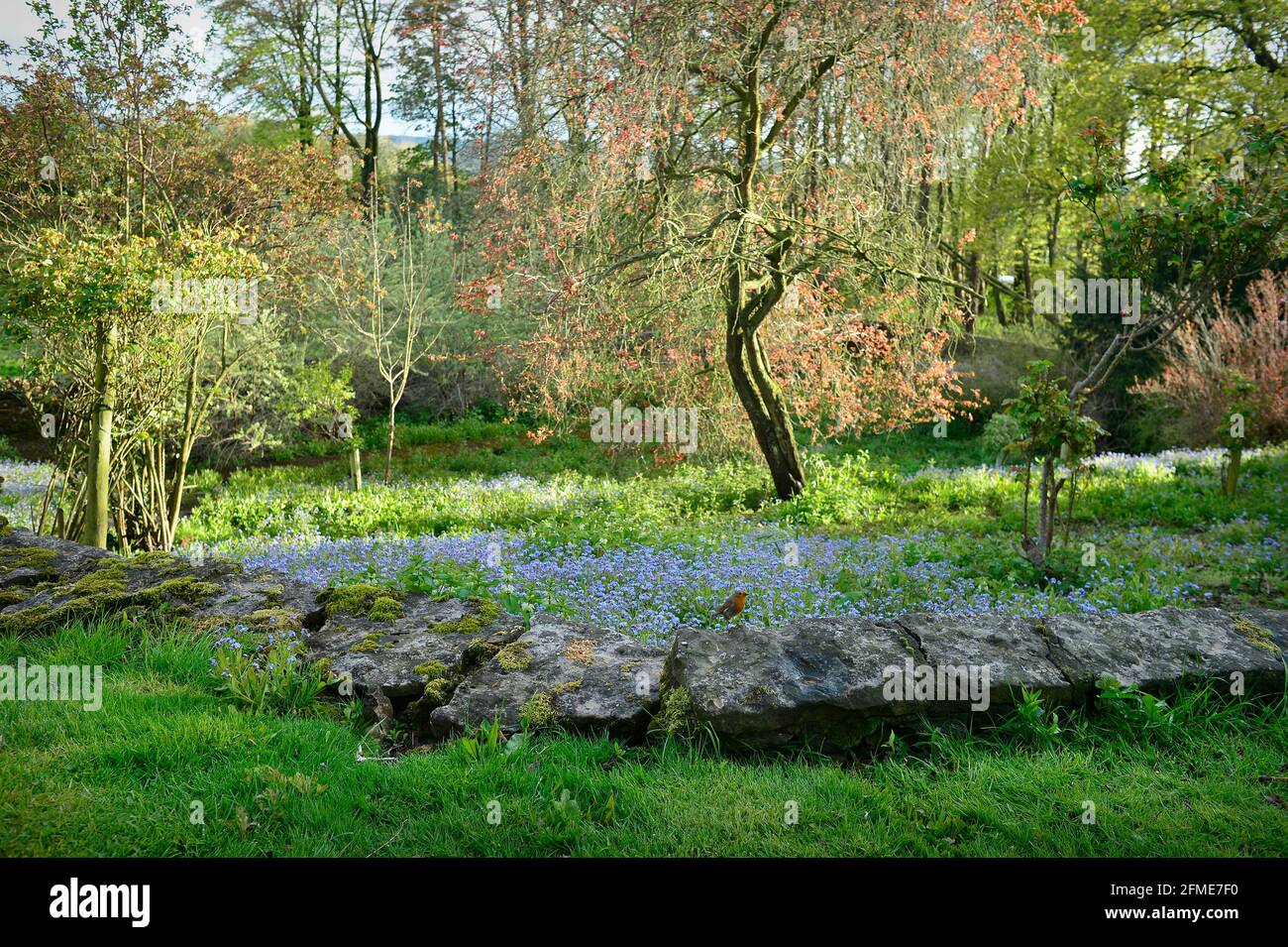 Englisch Country Garden North Yorkshire England Stockfoto