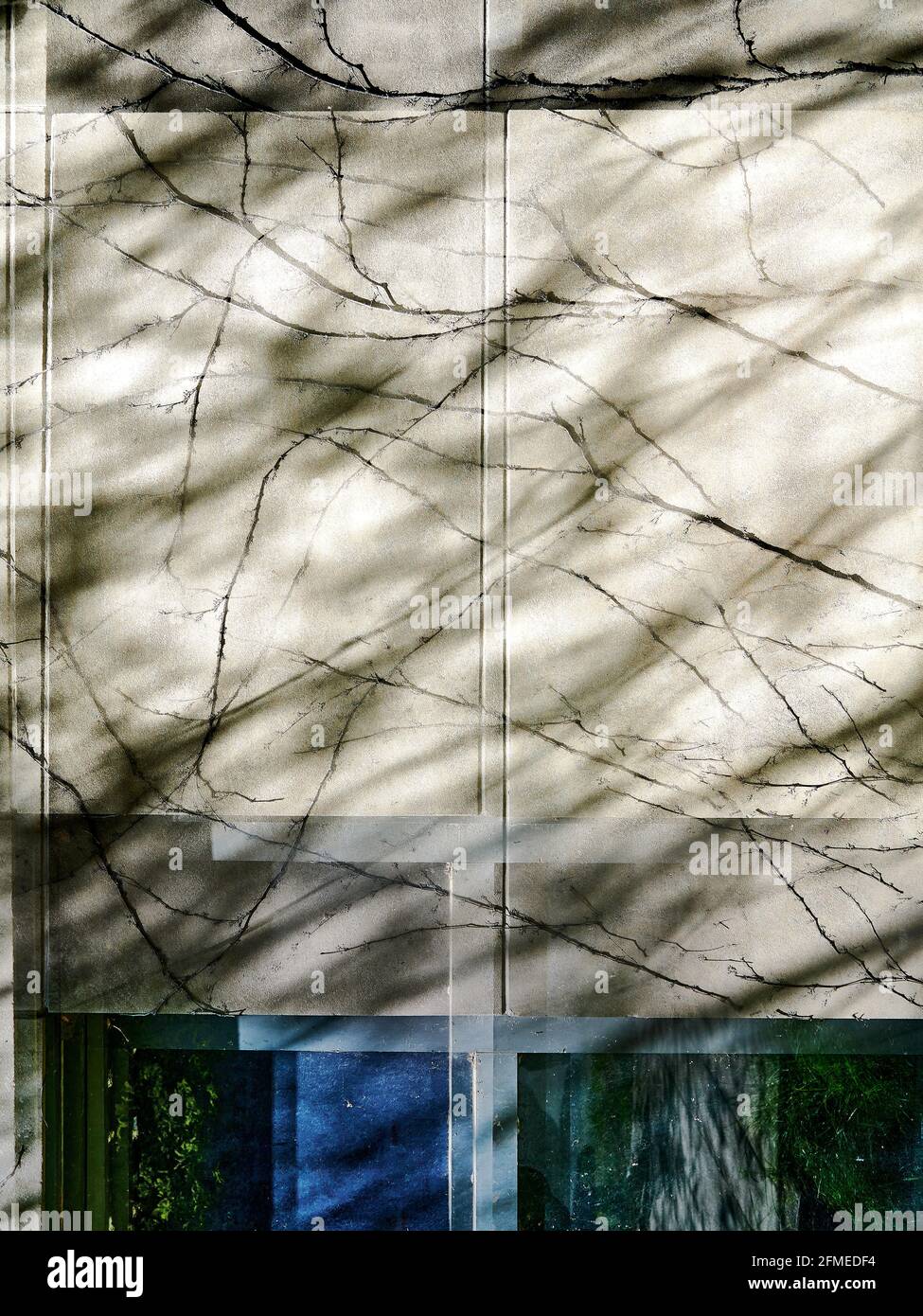 Detail der Geometrie der Wand mit organischen Linien von Reben Stockfoto