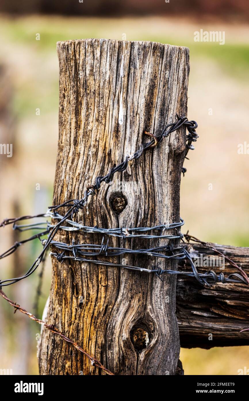In der Nähe von Stacheldraht zaun & Holzzaun Post; Ranch in Colorado, USA Stockfoto