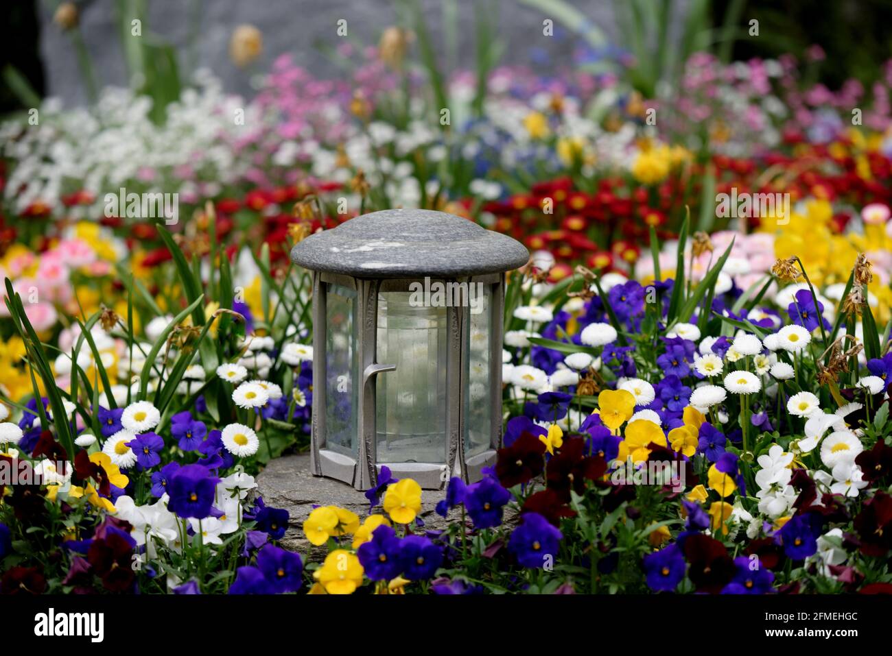Grave Laterne auf einem Grab mit vielen bunten Frühlingsblumen Stockfoto