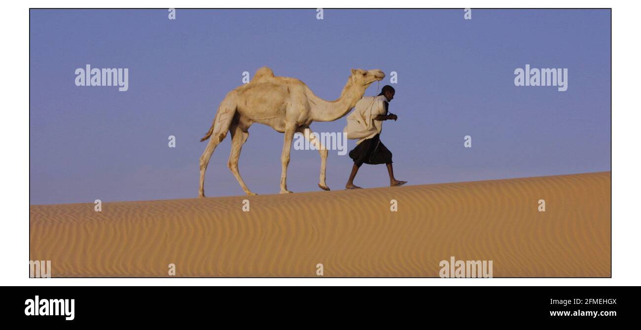 MALI:......Foto von David Sandison zur Geschichte von Mike Mc Carthy Stockfoto