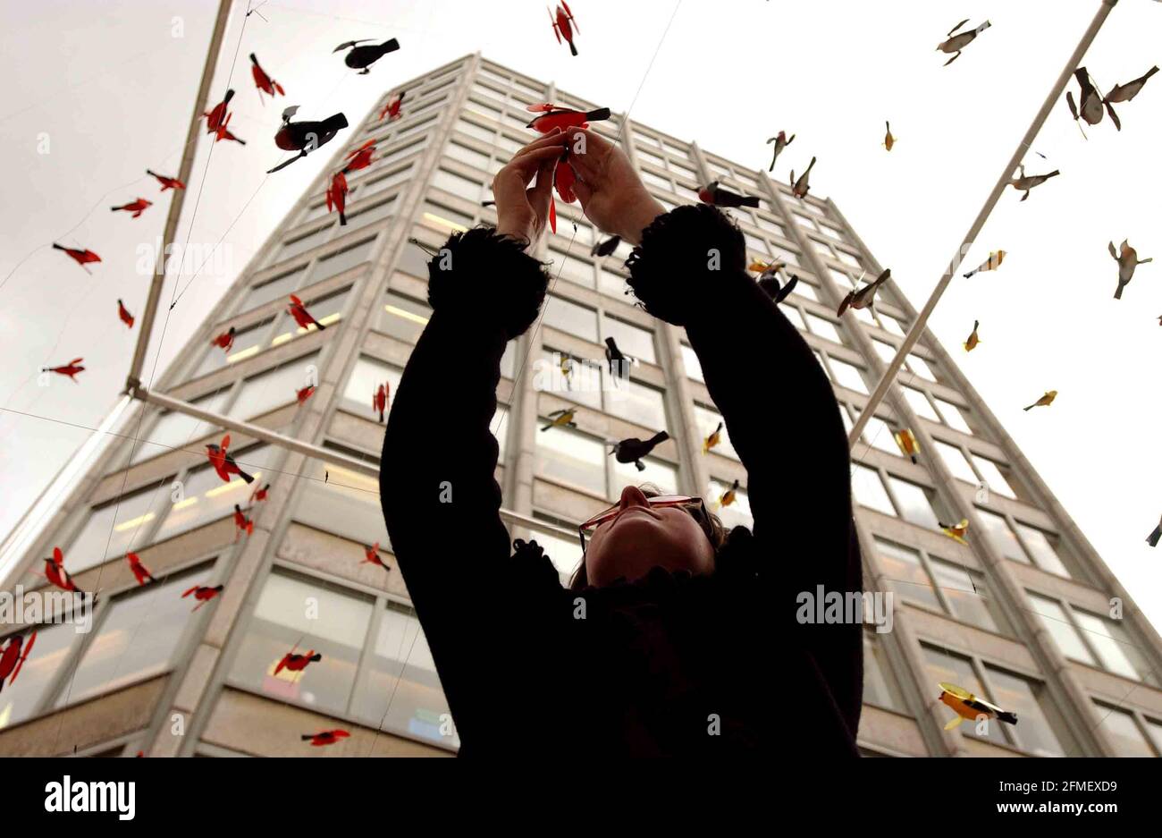 Die Künstlerin Jane Watt verleiht ihrer Installation den letzten Schliff „Vogelkäfig“, der auf dem Platz zu sehen ist St James St. 19 März 2002 Foto Andy Paradise Stockfoto