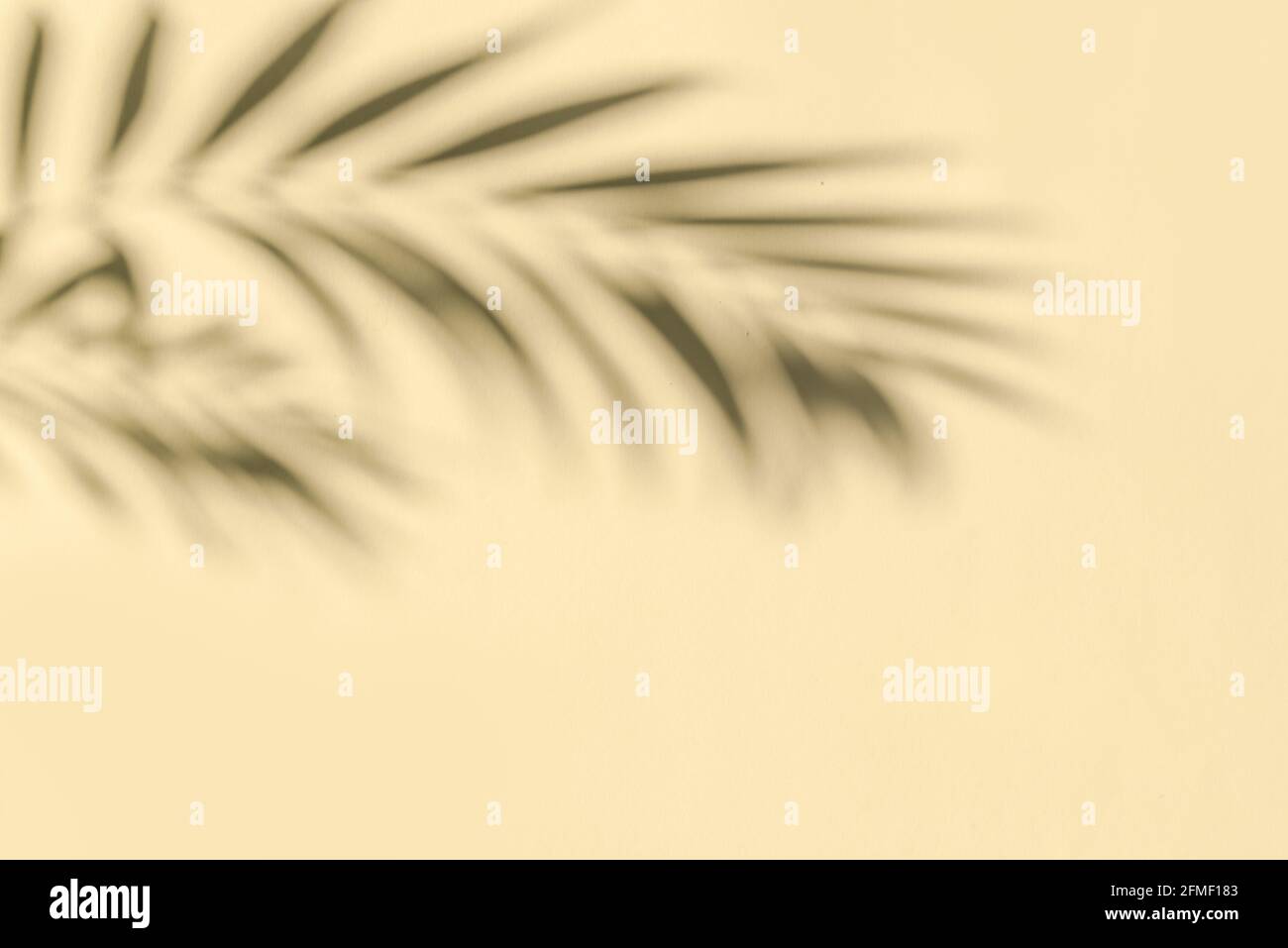 Palmenblätter Schatten auf beigefarbener Wand, abstrakter Hintergrund, Kopierraum. Silhouette tropischer Blätter. Stockfoto