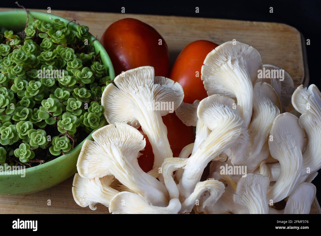 Weißer Austernpilz, rote Tomaten und grüne Sukulente Stockfoto
