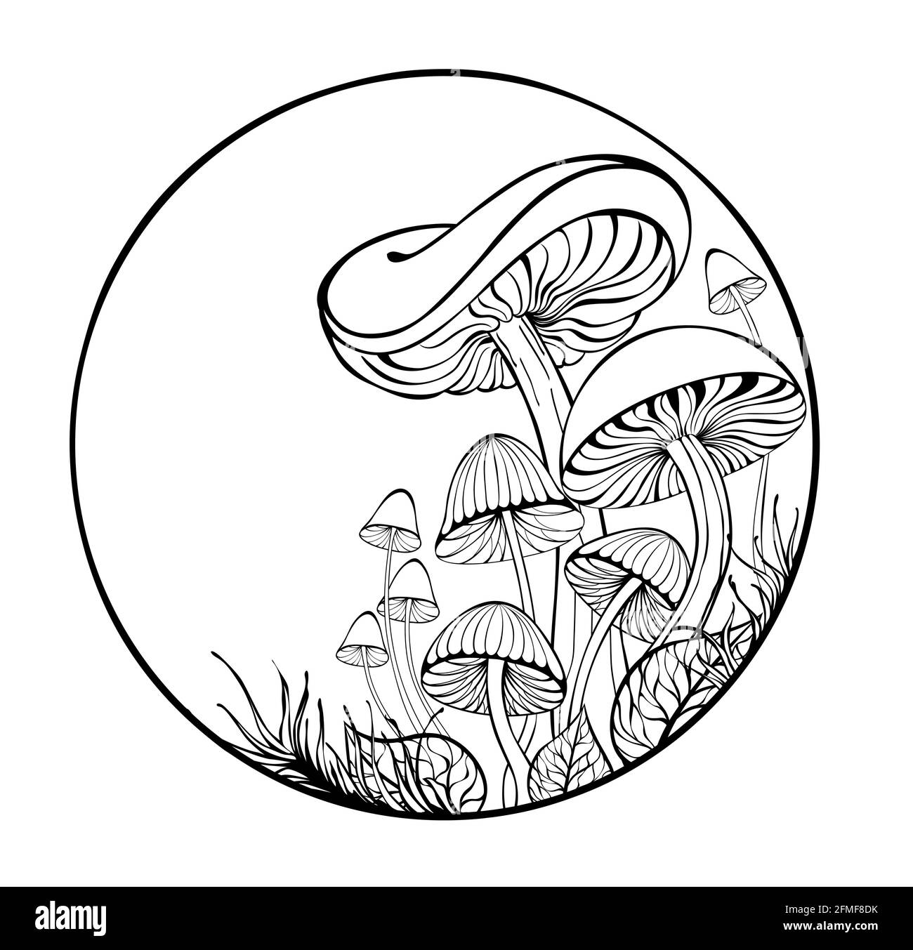 Kunstvoll gezeichnet, Umriss, Silhouette, stilisierte Pilze und Moos im Rahmen auf weißem Hintergrund Stock Vektor