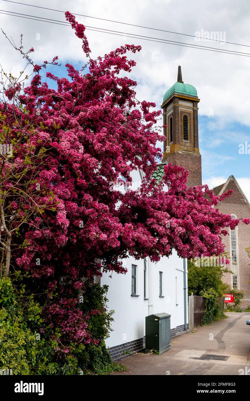 St. George's Kirche in Chesterton, Cambridge, Großbritannien. Stockfoto