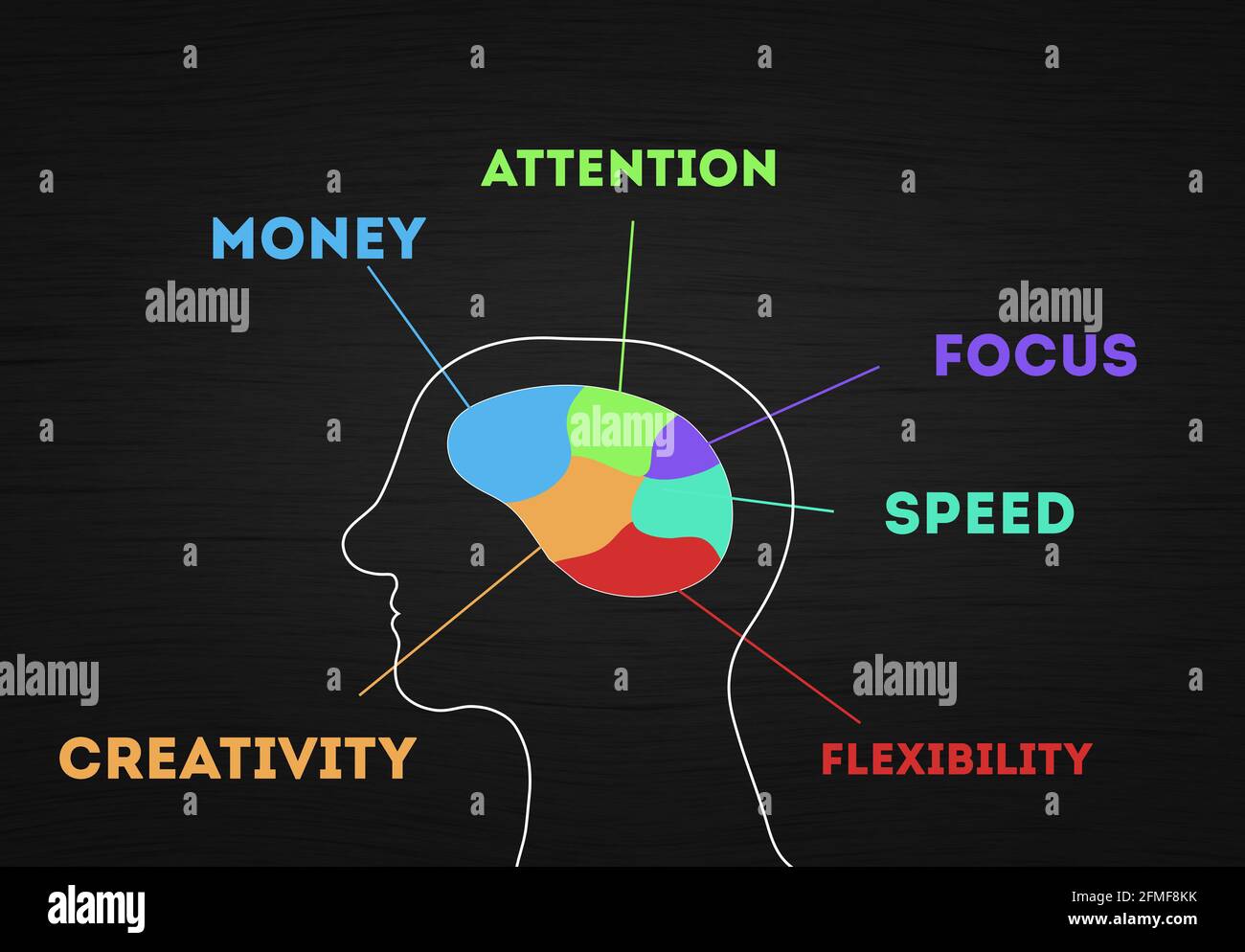 Bunter Mann Gehirn mit 6 menschlichen Fähigkeiten: Geld, Kreativität, Aufmerksamkeit, Fokus, Geschwindigkeit und Flexibilität. Mann Kopf Form in Kreidetafel Hintergrund Stockfoto