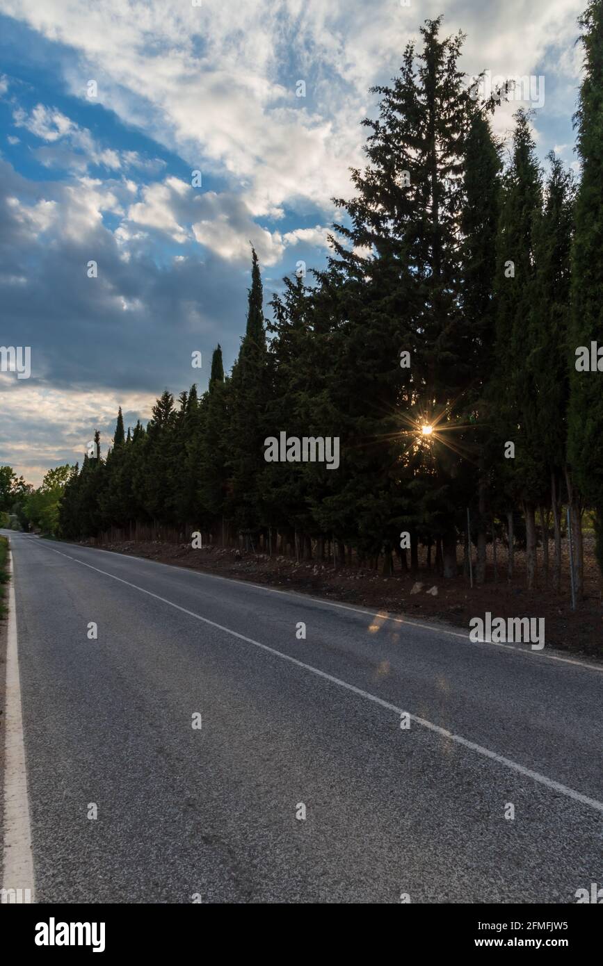Einsame, leere Straße, gesäumt von Bäumen, die Sonne scheint durch die Äste. Stockfoto
