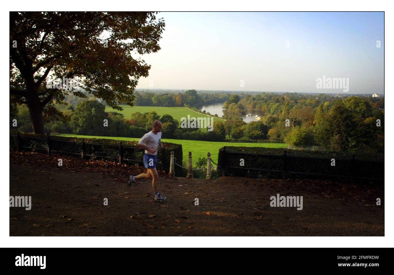 Der Blick vom Richmond Hill auf einen herrlichen Schwung der Themse mit Kühen, die auf Petersham Meadows grasen. Heute wurde ein historischer Mietvertrag unterzeichnet, um die Wiesen für die nächsten 125 Jahre und damit die Aussicht zu erhalten. Chris Brasher Chairman des Petersham Trust mit den glücklichen Kühen und einer Fülle von Blumen (der Pepercornmiete).pic David Sandison 30/10/2001 Stockfoto