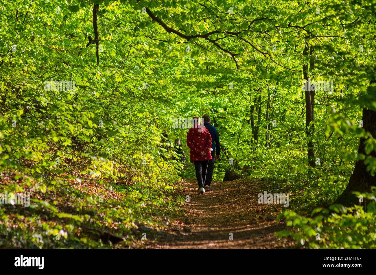 Ein paar Wanderungen auf einem Waldweg auf dem Hügel von Tampa in Brasov, Rumänien - Foto: Geopix Stockfoto