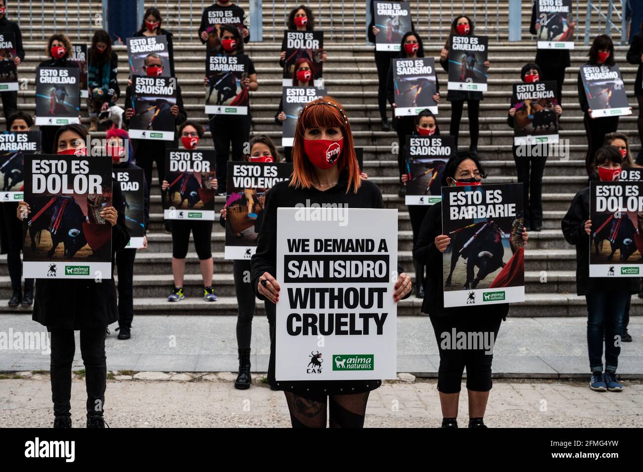 Tierschützer tragen Plakate mit Stierkampfszenen während eines Protestes gegen Stierkämpfe, da die Stierkampfsaison nächste Woche in Madrid zum San Isidro Fest beginnt. Die Tierrechtsgruppe Anima Naturalis versammelte sich in der Stierkampfarena Vista Alegere in Madrid, um die Abschaffung der Stierkämpfe zu fordern und Parolen gegen Tierquälerei und Tierfolter zu rufen. Die Bullfighting-Saison beginnt nächste Woche mit einer maximalen Kapazität von 40 % und maximal 6,000 Zuschauern aufgrund von Gesundheitsmaßnahmen, um die Ausbreitung des Coronavirus zu stoppen. Stockfoto