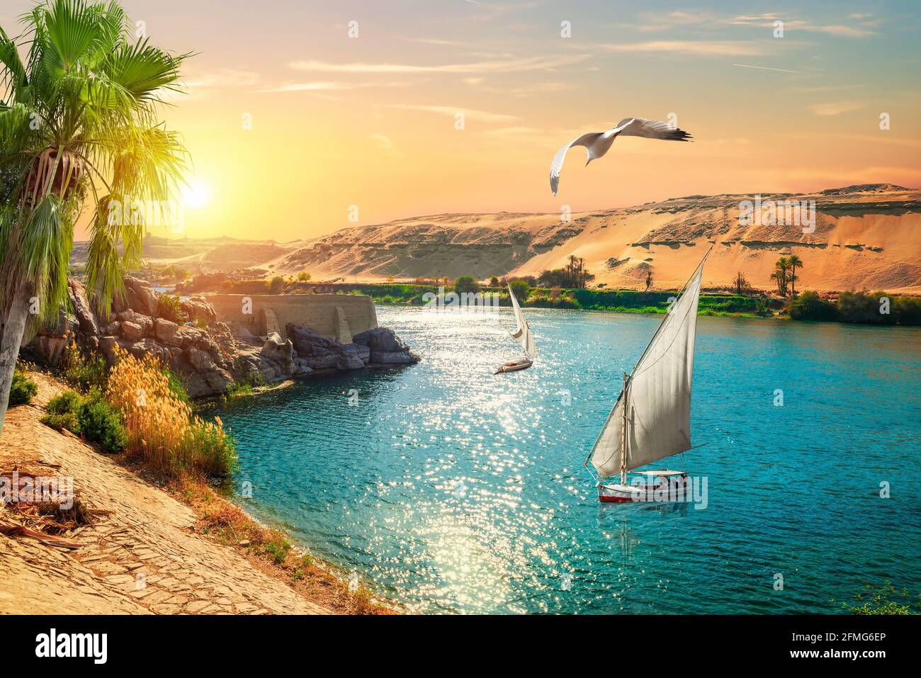 Vögel über Segelbooten in Assuan bei Sonnenuntergang, Ägypten Stockfoto
