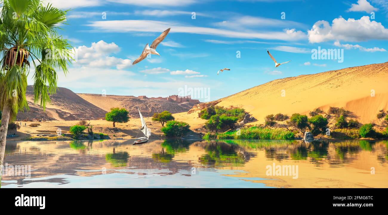 Fahren Sie auf einem Segelboot am malerischen Nil in Assuan Stockfoto