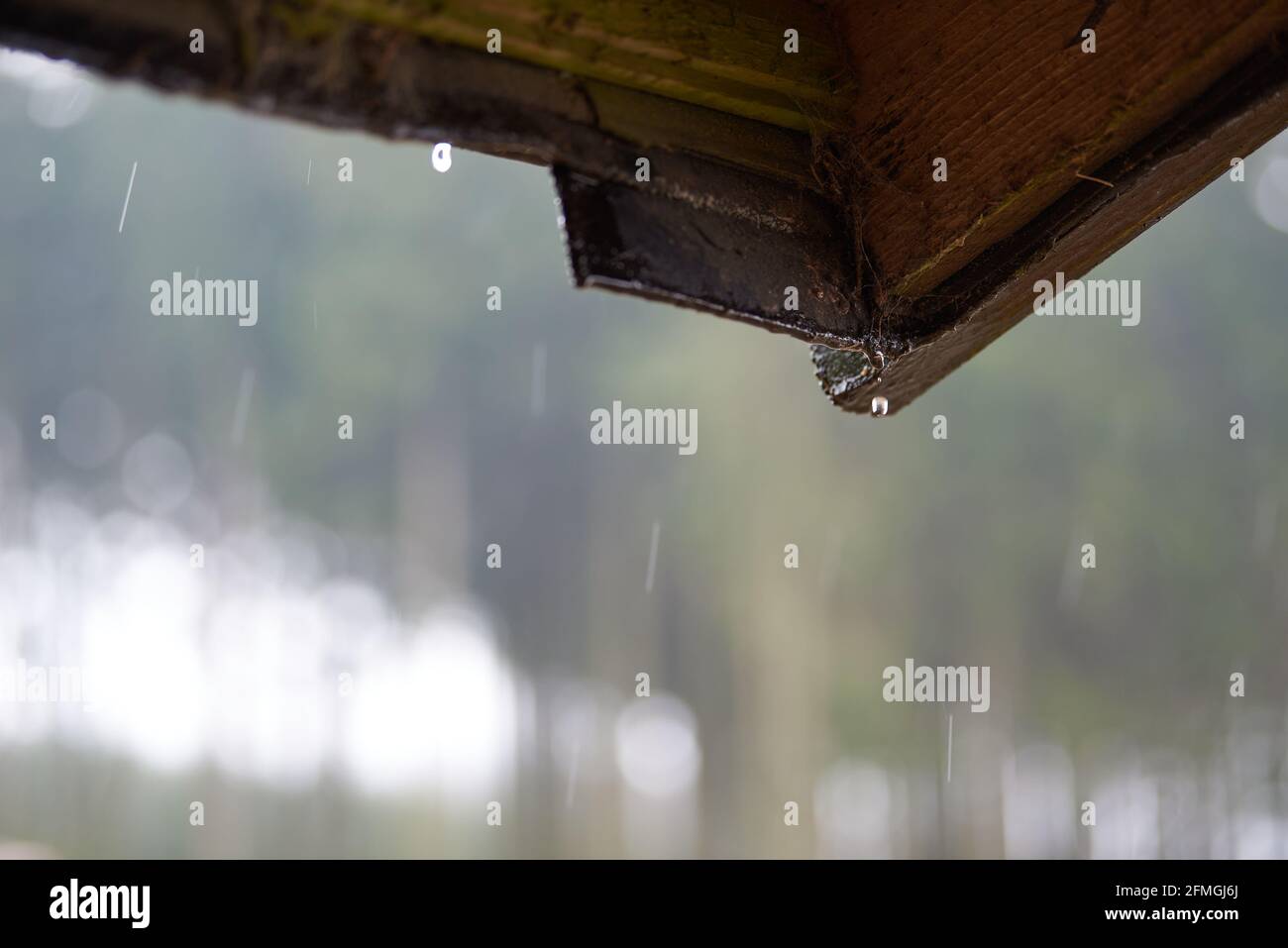 Nahaufnahme von fallenden Wassertropfen aus der Dachecke eines Tierheims auf einer bekannten Wanderroute im Sauerland bei Nieselregen. Stockfoto