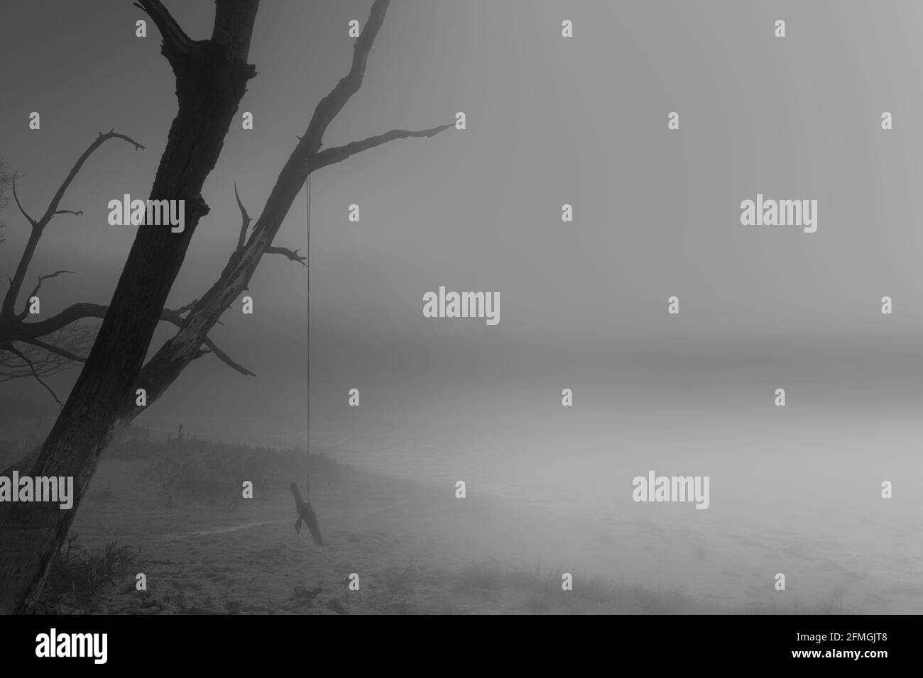 Nebel am frühen Morgen entlang des Colne River, in der Nähe von Colchester, Großbritannien Stockfoto