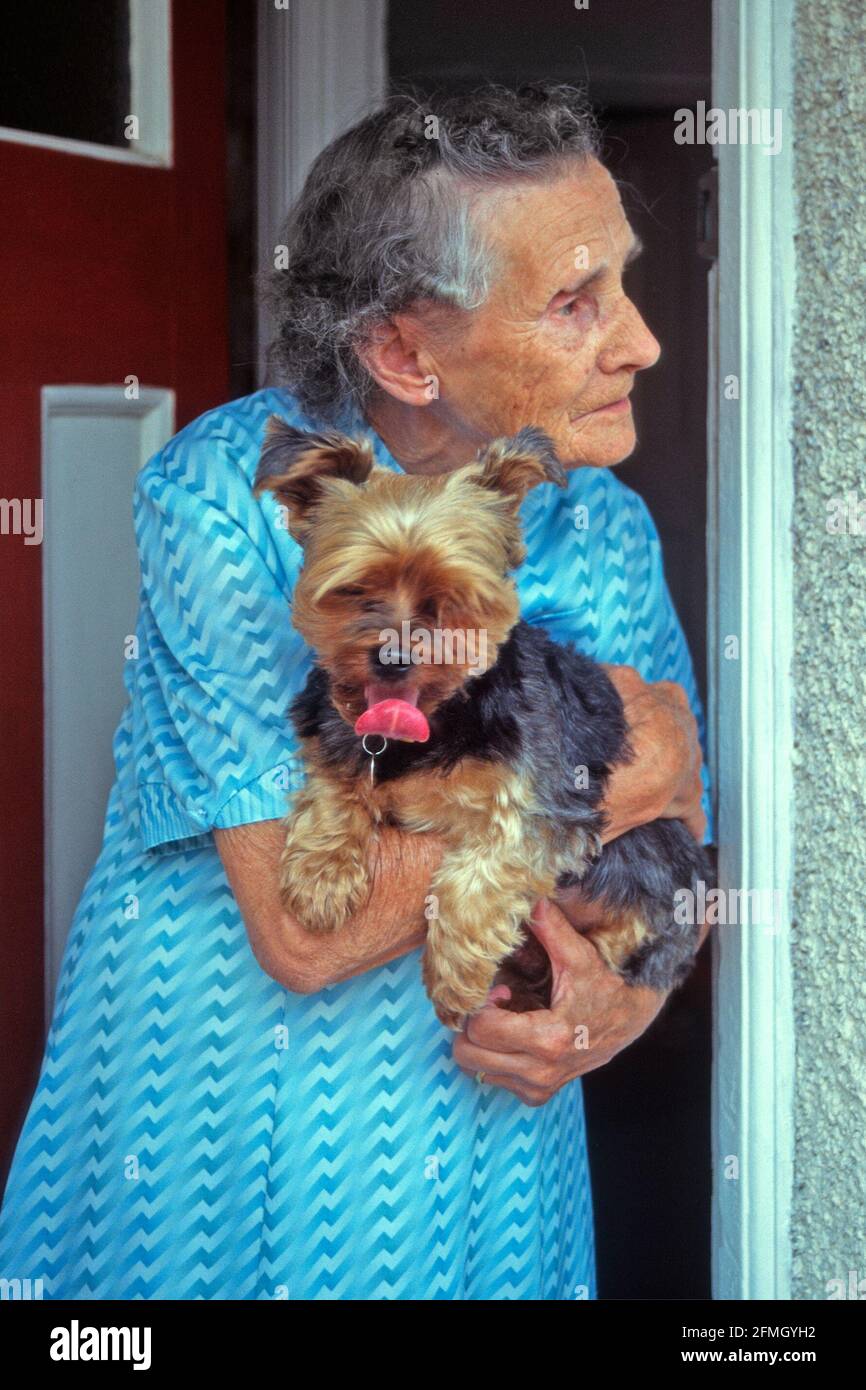 Die Art und Weise, wie wir waren im Archiv 1999 Lifestyle-Bild von 81 Jahre alt gebrechliche 90er Jahre Modell freigegeben ältere besorgt verwitwet Ältere Rentnergroßmutter, die allein lebt und sie hält PET Yorkshire Terrier Hund mit Blick von der offenen Front Tür ihres Hauses in einem historischen Archivfoto der 90er Jahre In London, England, Großbritannien Stockfoto