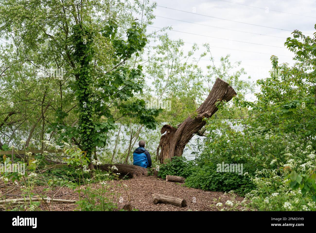 Walthamstow Wetlands, Tottenham hale, London, england Stockfoto