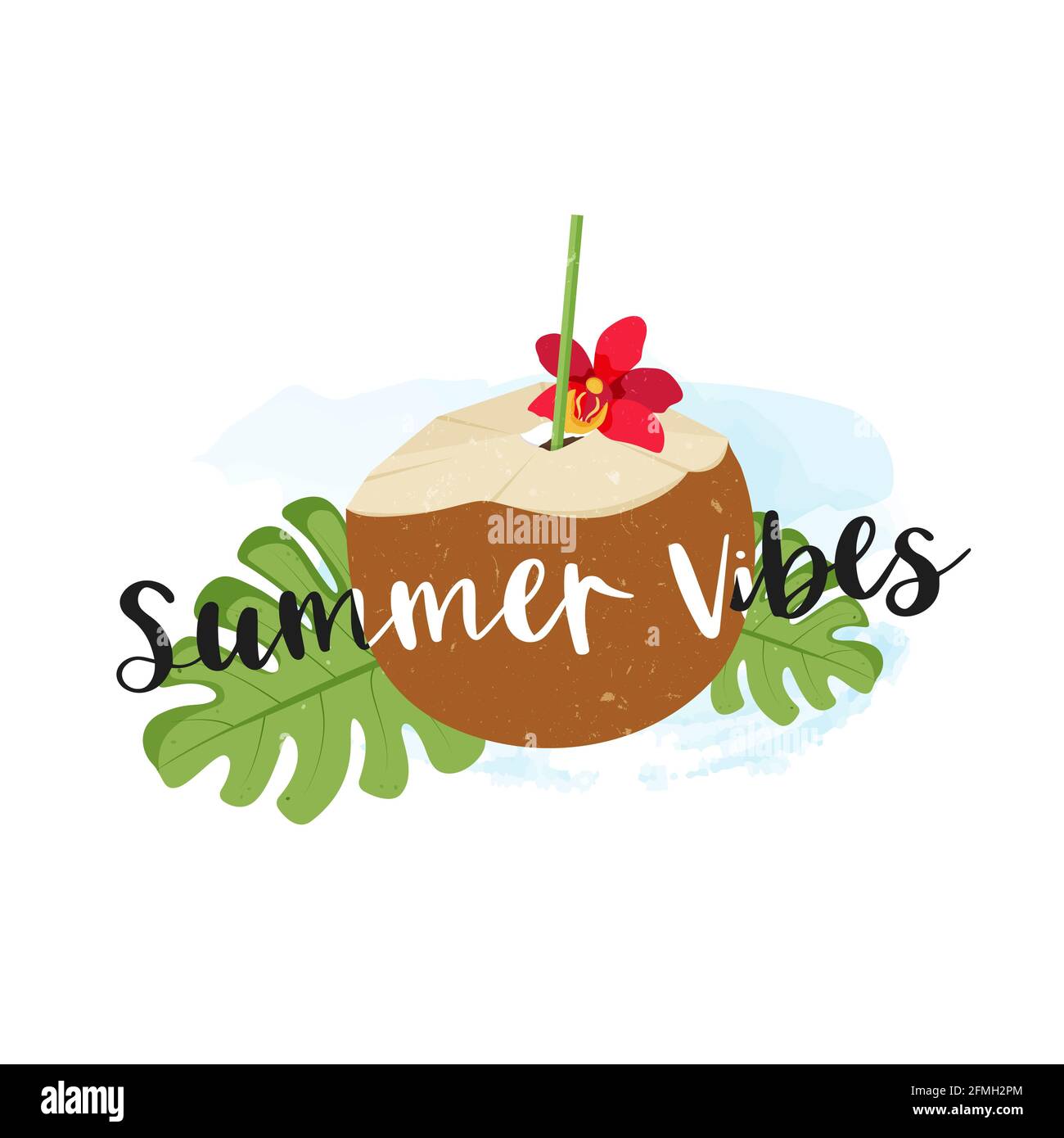 Kokosnussgetränk isoliert auf weißem Hintergrund. Stock Vektor