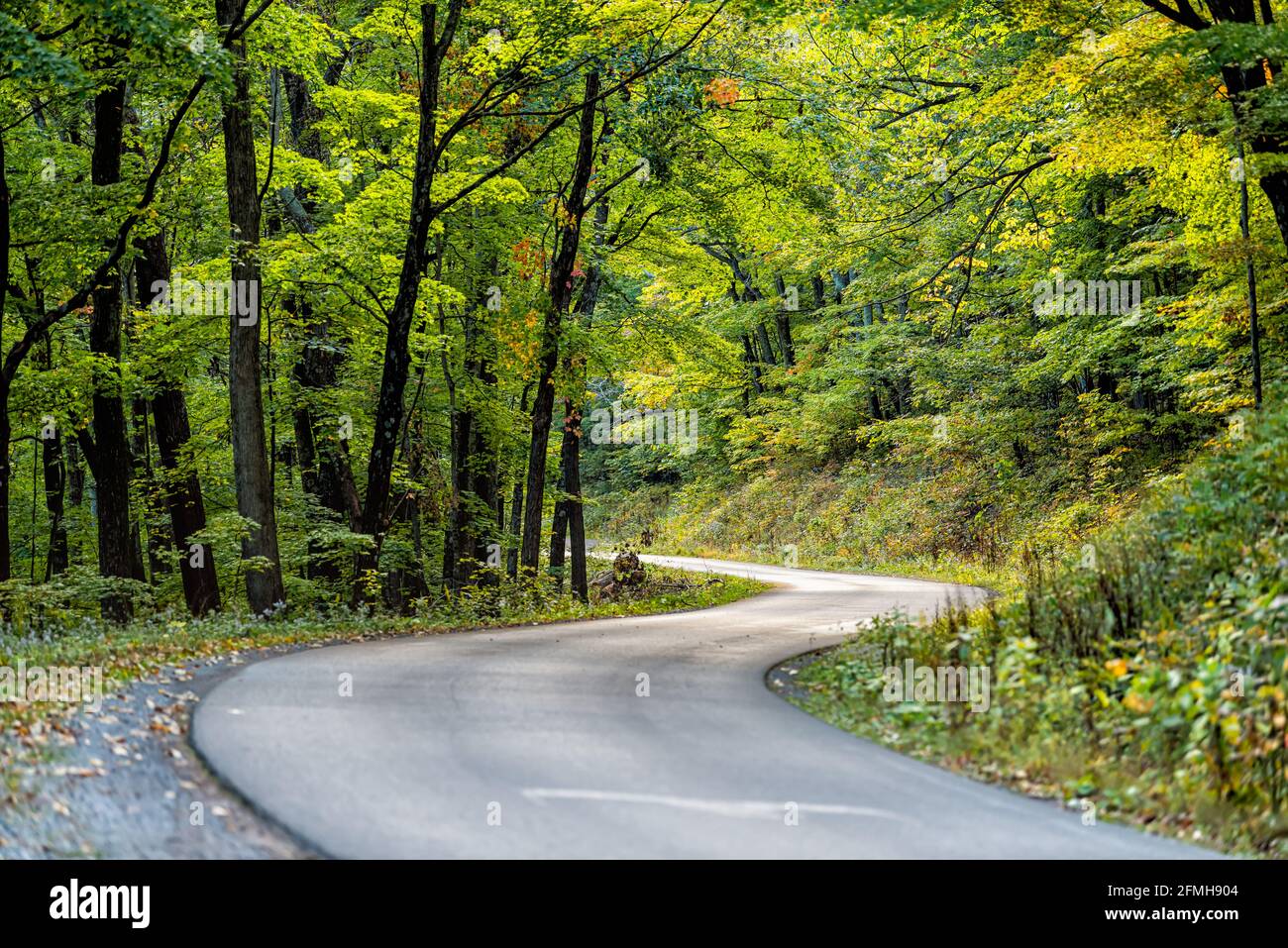 Herbstsaison grüner Baumwald in West Virginia mit gewundener steiler gepflasterter Straße zum Fichte Knob See, Aussichtspunkten und Wanderwegen, auf denen niemand landet Stockfoto