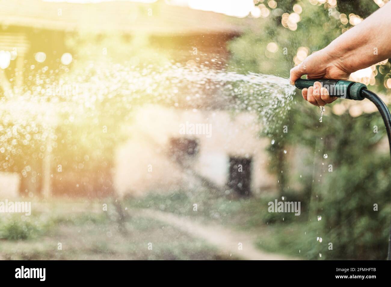 Weibliche Hand halten Gartenschlauch, Bewässerung Garten Stockfoto
