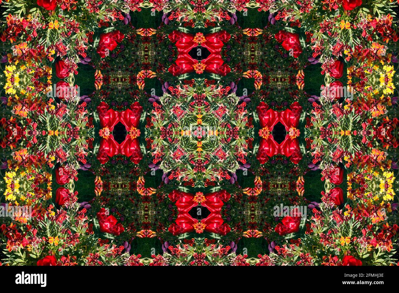 Frühlingsblumen-Display als abstraktes Kaleidoskop Symmetrie-Effekt, geometrische Muster Kunst Stockfoto