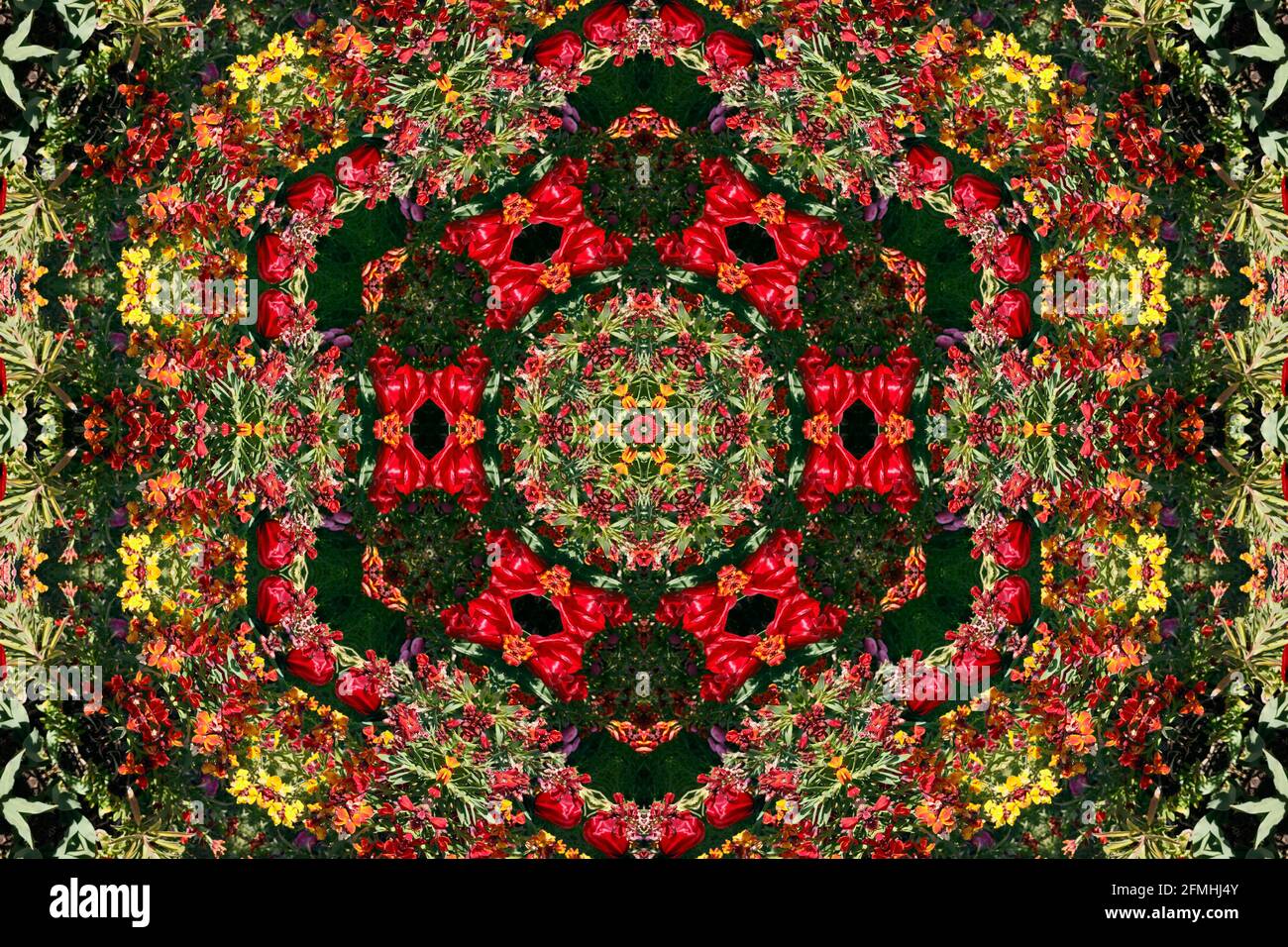 Frühling Blume Display als abstrakter Kaleidoskop-Effekt, Symmetrie geometrische Muster Kunst Stockfoto