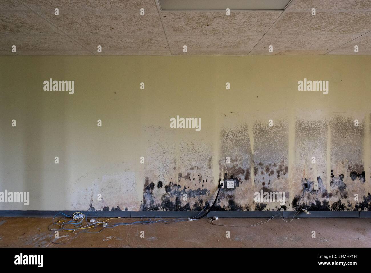 Das Innere eines verlassenen, verfallenden leeren Bürogebäudes Stockfoto