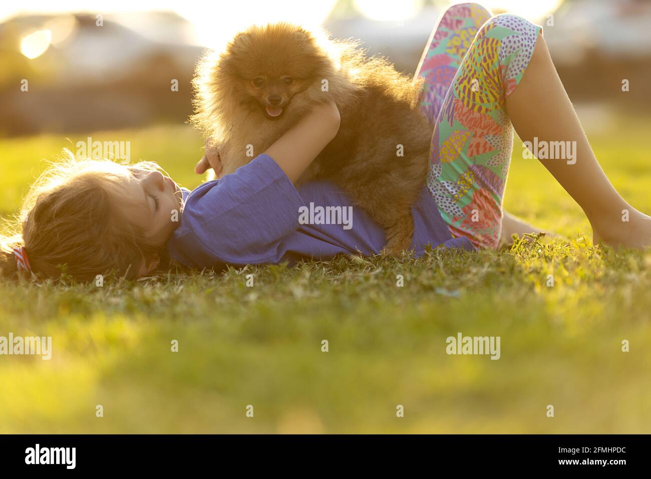 Kind spielt im Park mit pommerischem Hund Stockfoto