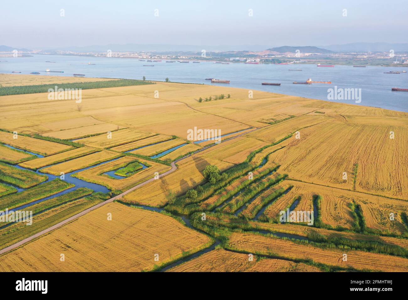 Anqing, China. Mai 2021. Die Weizen werden gelb und werden am 09. Mai 2021 in Anqing, Anhui, China, geerntet.(Foto: TPG/cnsphotos) Quelle: TopPhoto/Alamy Live News Stockfoto