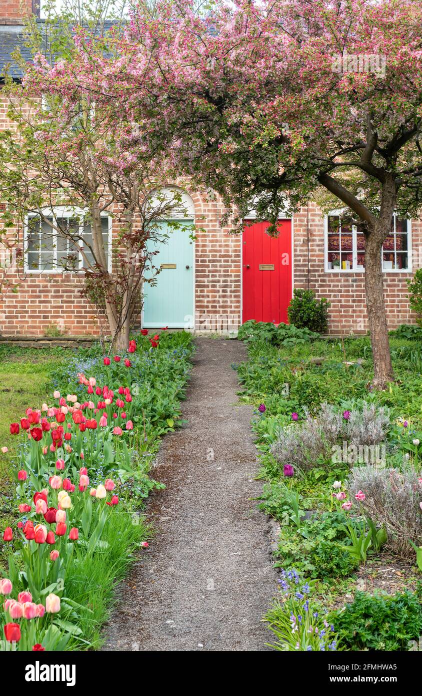 Zwei Ferienhäuser im Frühling mit Tulpen und Kirschbaumblüten. Stratford-Upon-Avon, Warwickshire, England Stockfoto
