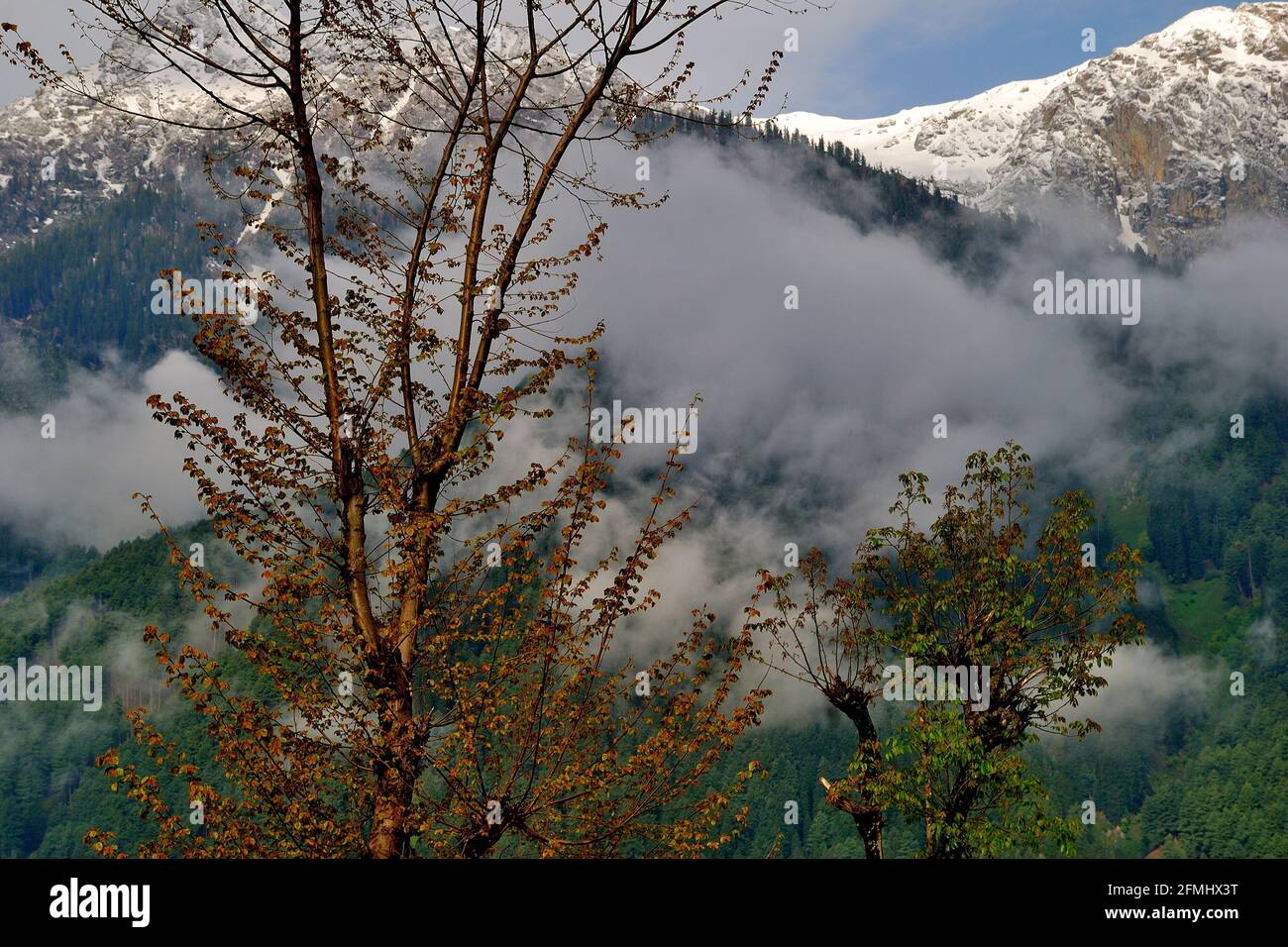 Blick auf die Himalaya-Bergkette, Pahalgam, Jammu & Kashmir, Indien Stockfoto