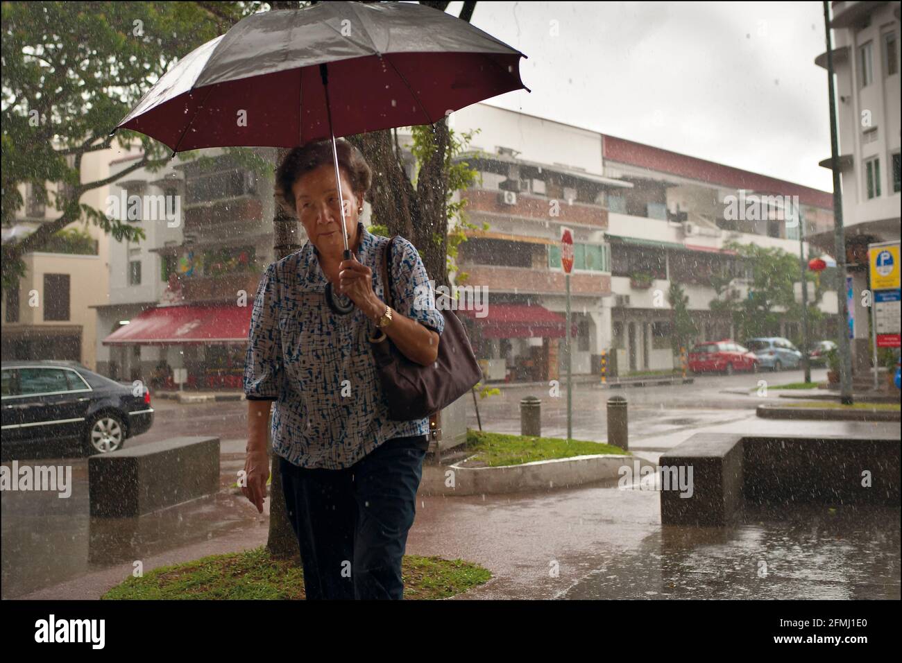 Singapurische Frau in einem tropischen Regenguss Stockfoto