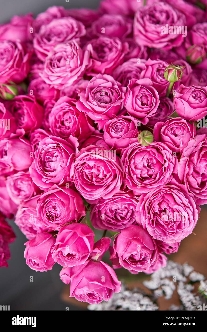 Rosa Rosenzweig in einer Vase. Sommerhintergrund. Strauß Rosen für den  Muttertag. Foto von Blumen für einen Katalog von Blumen Online-Shop und  Stockfotografie - Alamy
