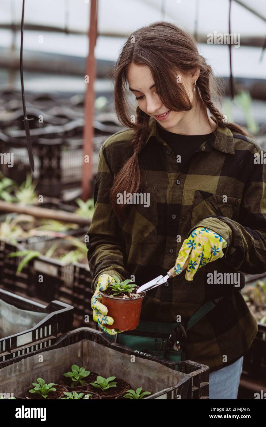Eine Gärtnerin in Gummihandschuhen pflanzt mit einem Gartenwerkzeug Blumensämlinge in einen Topf. Weicher, selektiver Fokus, Unschärfe-Effekt. Art Noise. Stockfoto