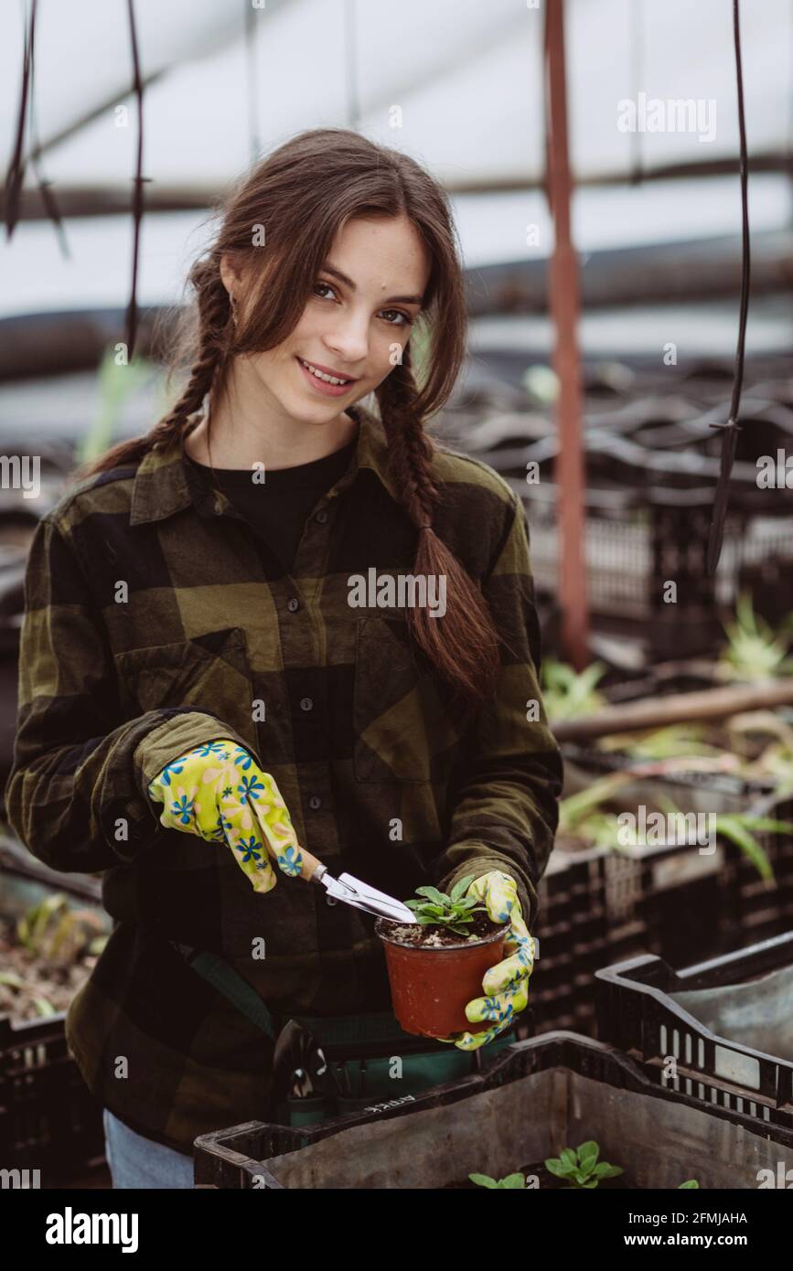Eine Gärtnerin in Gummihandschuhen pflanzt mit einem Gartenwerkzeug Blumensämlinge in einen Topf. Weicher, selektiver Fokus, Unschärfe-Effekt. Art Noise. Stockfoto