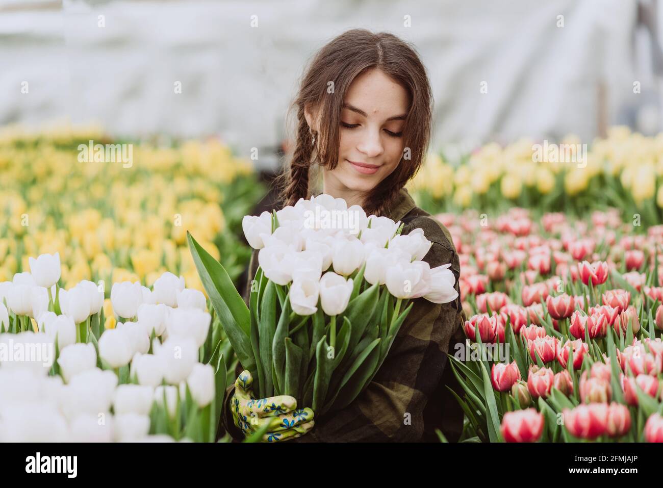 Die junge Gärtnerin hält einen Strauß Tulpen in einem Gewächshaus. Frühlingsblumen und Blumenzucht. Weicher, selektiver Fokus, Unschärfe-Effekt. Stockfoto