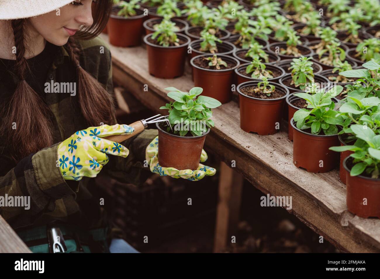 Eine Gärtnerin in Gummihandschuhen pflanzt mit einem Gartenwerkzeug Blumensämlinge in einen Topf. Weicher, selektiver Fokus, Unschärfe-Effekt. Art Noise. Stockfoto