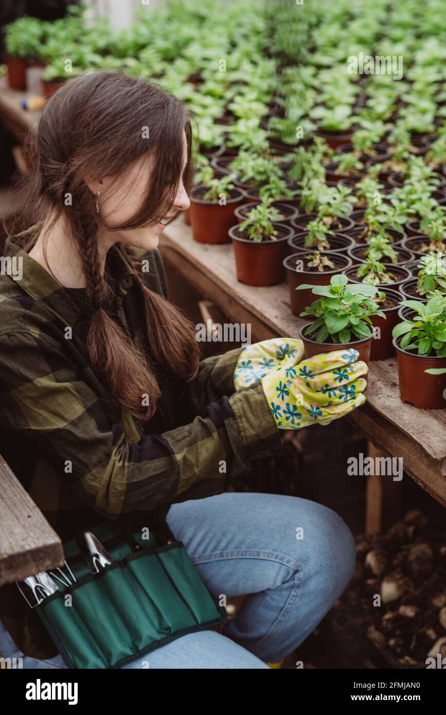Eine Gärtnerin in Gummihandschuhen pflanzt mit einem Gartenwerkzeug Blumensämlinge in einen Topf. Weicher, selektiver Fokus, Unschärfe-Effekt. Art Noise. Stockfoto