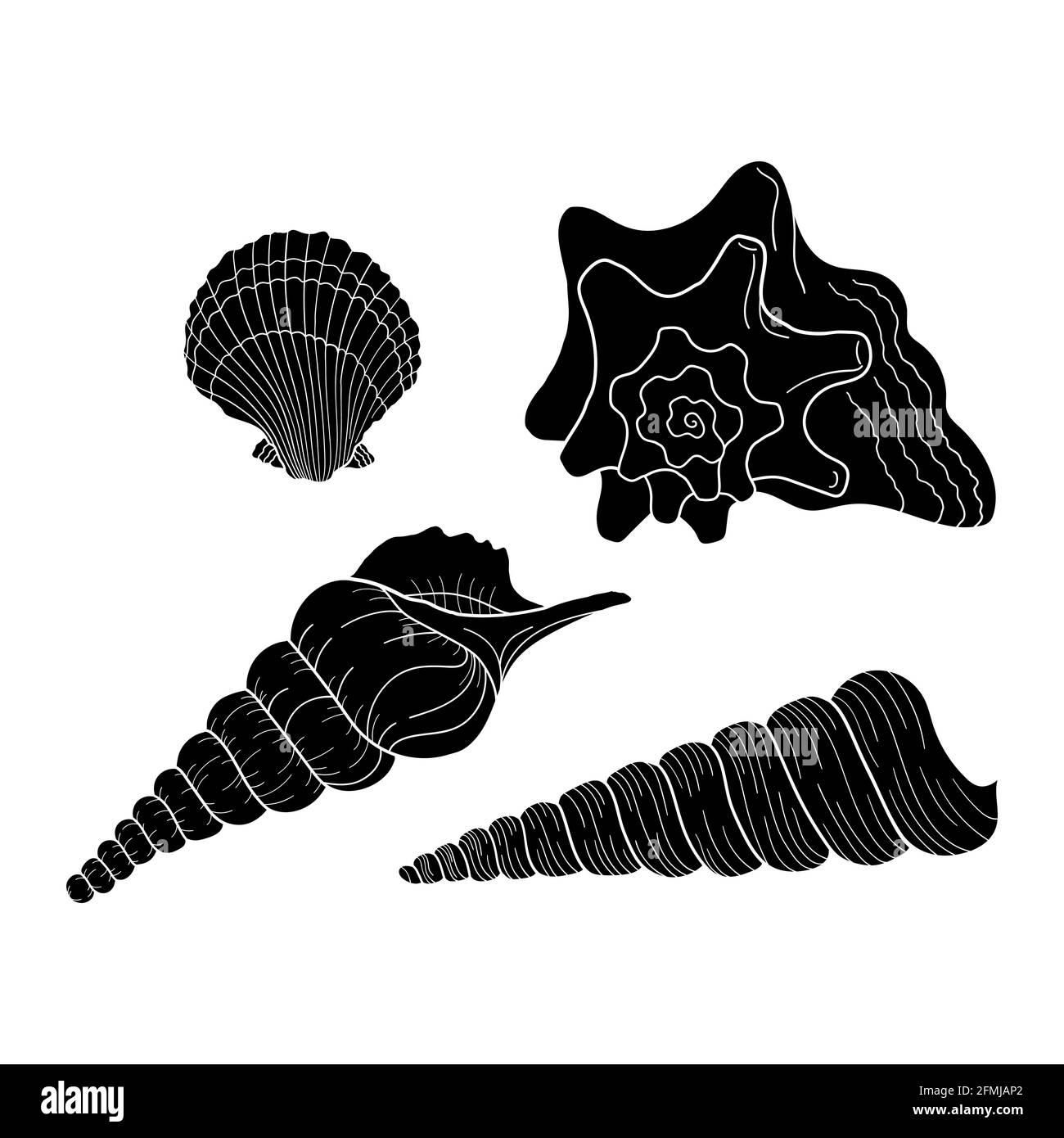 Marine-Set. Sammlung von Silhouette Muscheln verschiedenen Formen. Handgezeichnete Vektorgrafiken. Gestaltungselement für Einladung, Grußkarten, Poster Stock Vektor