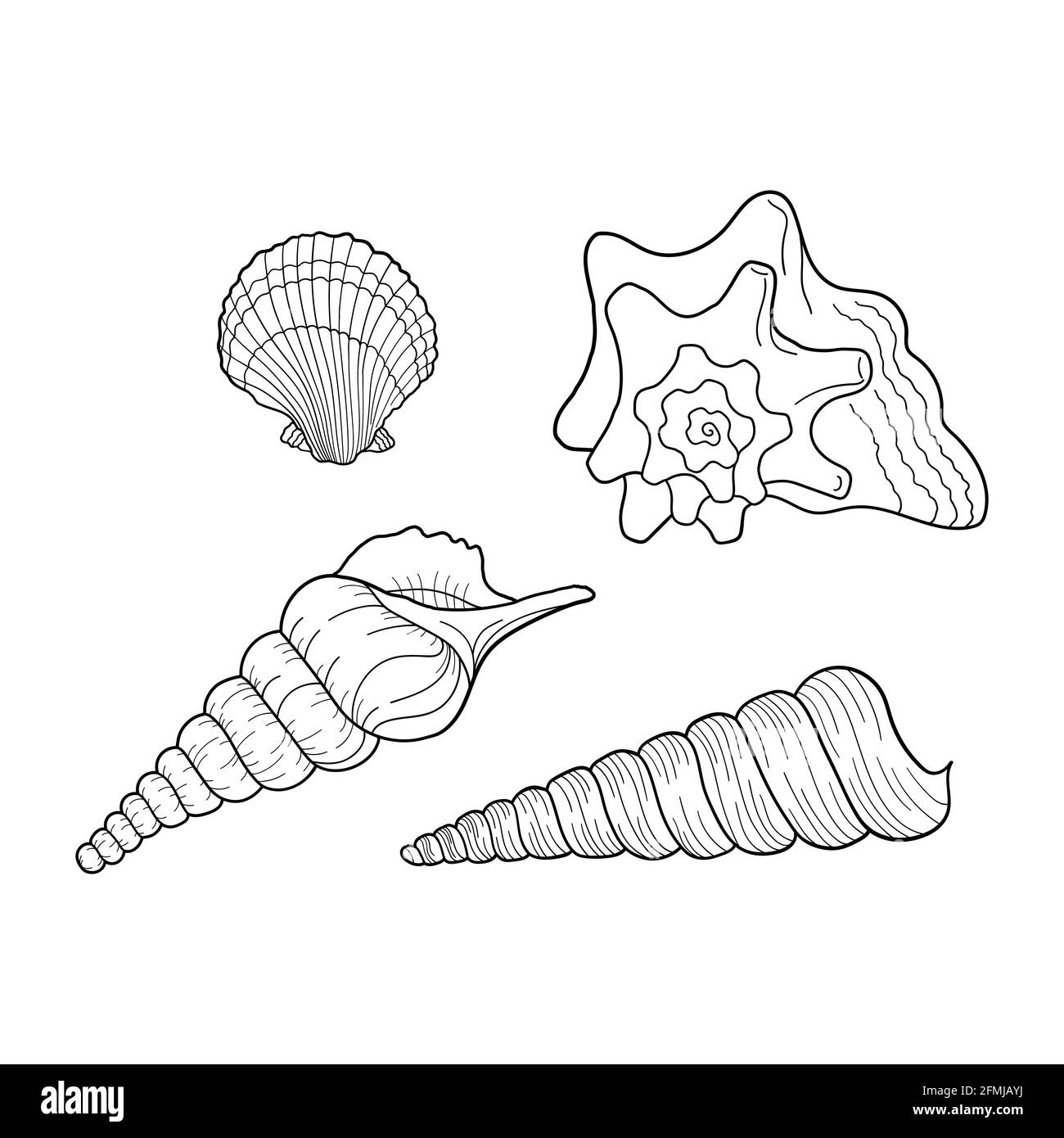 Vektorset für Muscheln. Sammlung von Schalen verschiedenen Formen. Handgezeichnete Illustrationen von gravierten Linien. Gestaltungselement für Einladungen, Grußkarten Stock Vektor