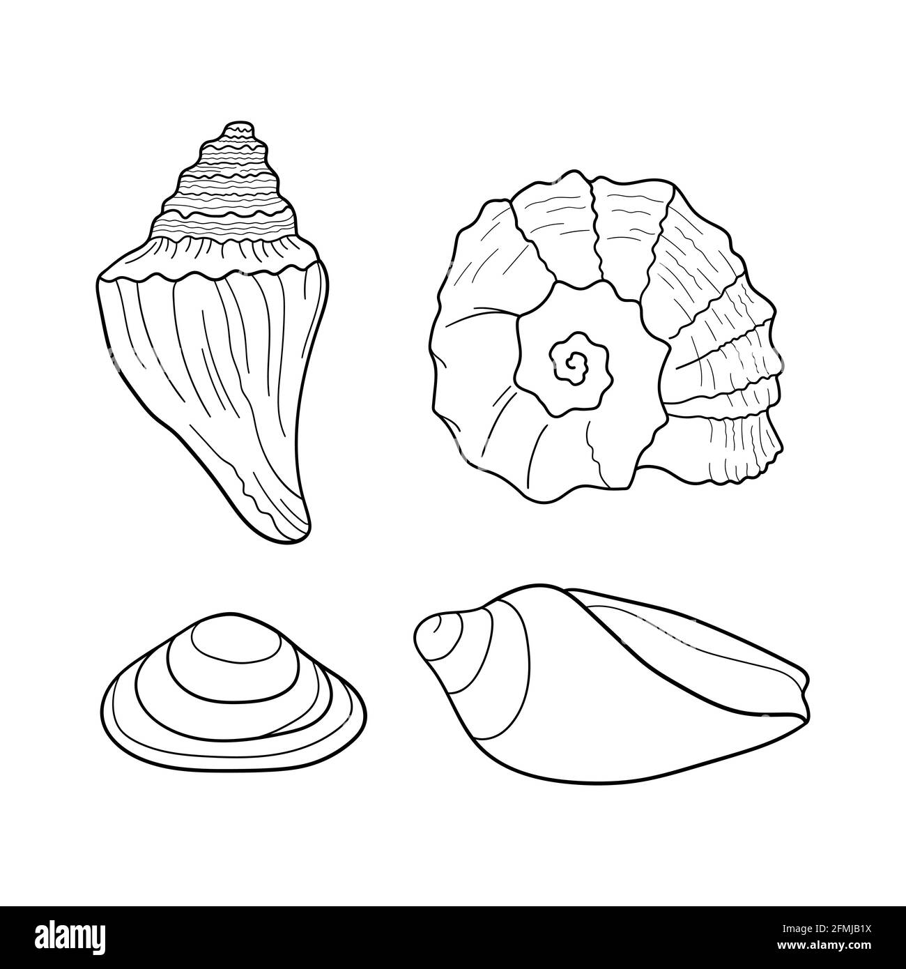 Vektorset für Muscheln. Marine-Set. Handgezeichnete Illustrationen von gravierten Linien. Gestaltungselement für Einladungen, Grußkarten, Poster, Banner, Flyer Stock Vektor