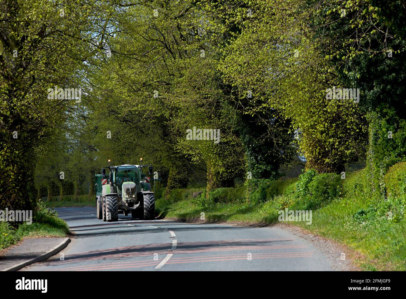 Traktor auf von Bäumen und Hecken gesäumter Straße, in der Nähe von Ulleskelf, North Yorkshire, England Stockfoto