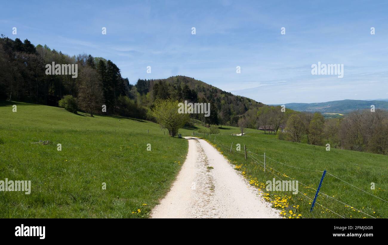 Frühlingsstimmung auf dem Land Stockfoto