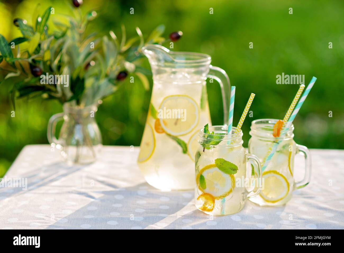 Limonade-Erfrischungsgetränk in einem Krug und Gläser mit Zitronen, frischer Minze und Eis auf einem Gartentisch. Picknick im Sommer im Freien. Speicherplatz kopieren. Weicher selektiver Fokus Stockfoto