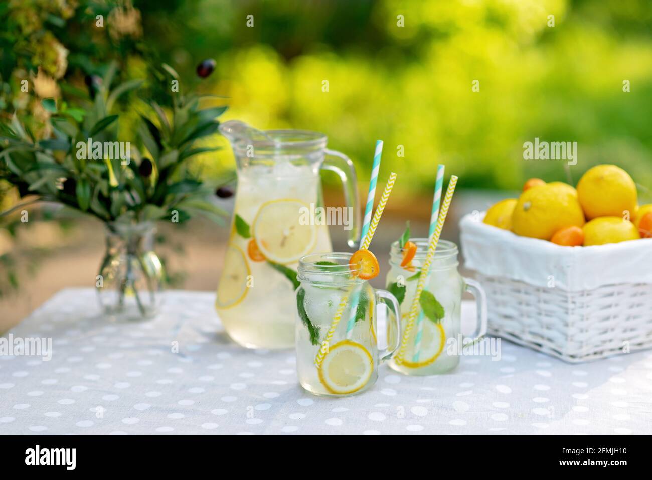 Limonade-Erfrischungsgetränk in einem Krug und Gläser mit Zitronen, frischer Minze und Eis mit einem Korb mit Zitronen und Kumquat auf einem Gartentisch. Sommer im Freien pi Stockfoto